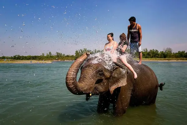 Elephant Bathing
