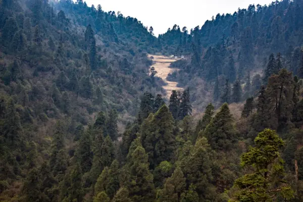 Jaljala wetland