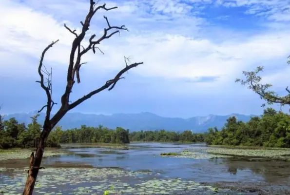 Kailali