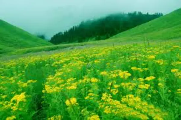 Rolpa District