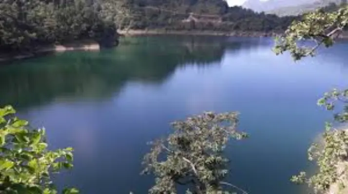 Salyan