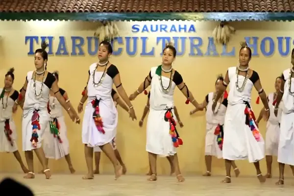 Tharu Dance Performance