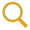 Search Icon