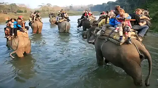 チトワン国立公園の森林と自然