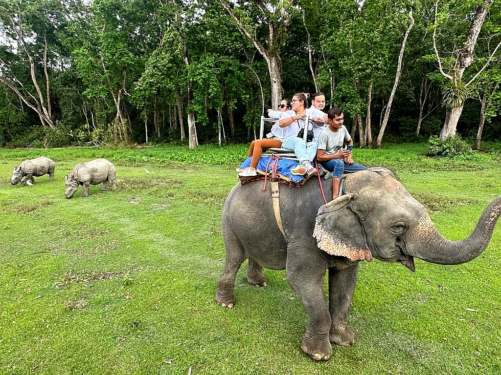 ネパール・チトワン国立公園のジャングルサファリ