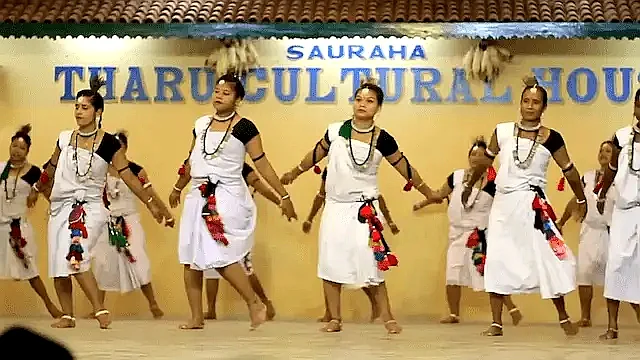 タルー民族の伝統ダンス