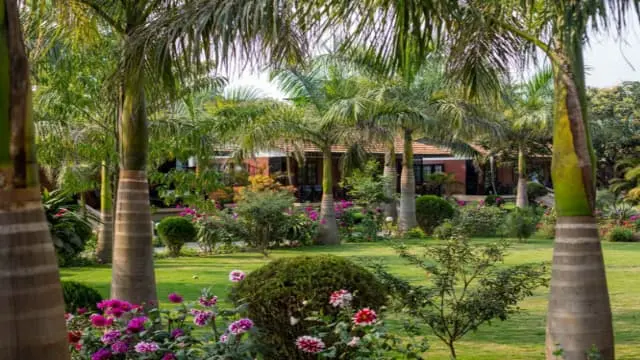 Jungle World Resort