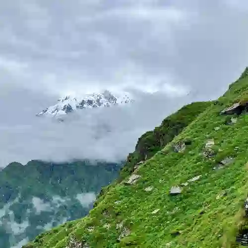 Snow peak in cloud above a green slope, Mardi Himal