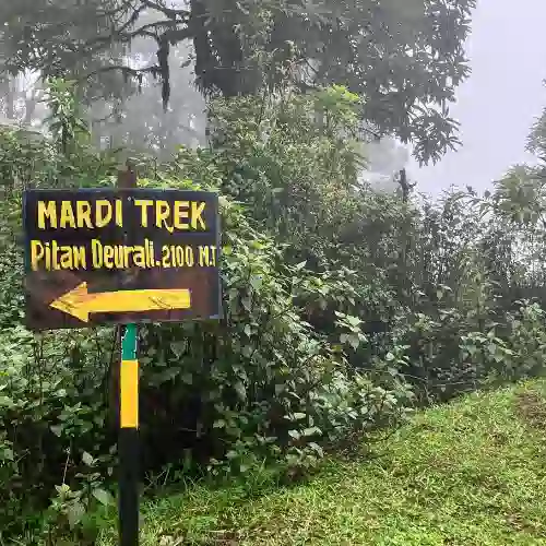 Forest sign for the Mardi Trek toward Pitan Deurali, 2100 m